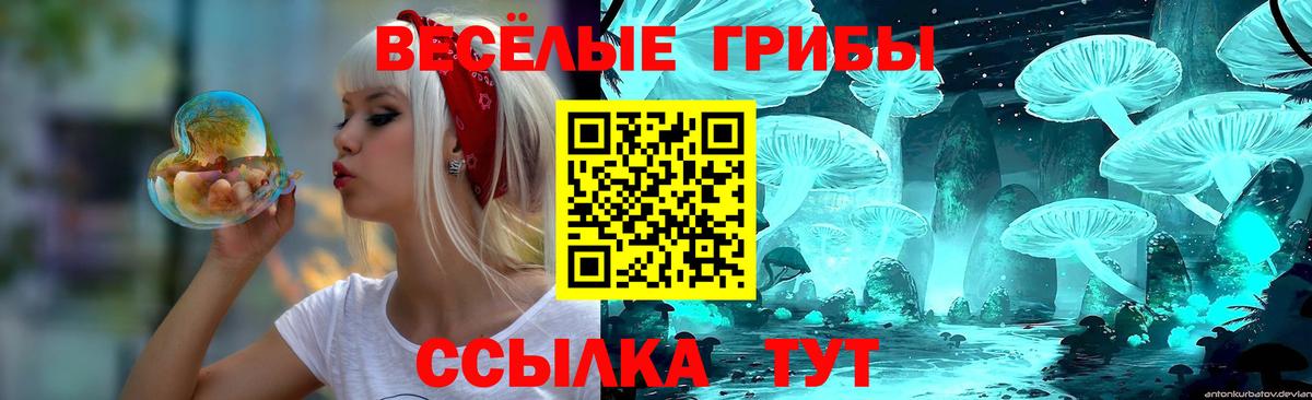 Подольск  закладка  Вход с VPN  Псилоцибиновые грибы Psilocybine cubensis 